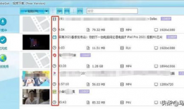 网站上的视频怎么下载,如何制作基于网站视频的概述文章副标题