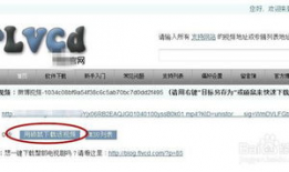 网站上的视频怎么下载,如何制作基于网站视频的概述文章副标题