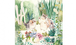 草草草草视频,揭秘幕后制作过程